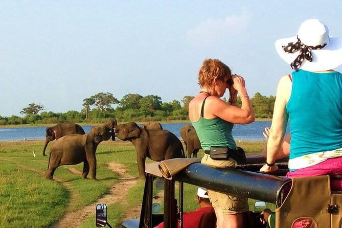 Bentota Tuk Tuk Safari - FAQs