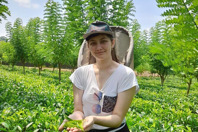 Bentota Village Tour with River Safari & Tea Plantation/Factory - All Inclusive - An In-Depth Look at the Bentota Village Tour