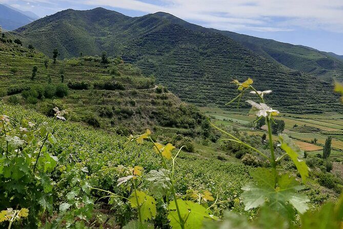 Berat 4x4 Off-Road and Vineyard Wine Tasting - Exploring the Berat 4x4 Off-Road and Vineyard Tour in Detail