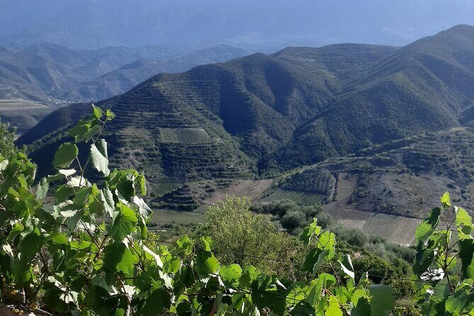 Berat 4x4 Off-Road and Vineyard Wine Tasting - The Itinerary in Detail