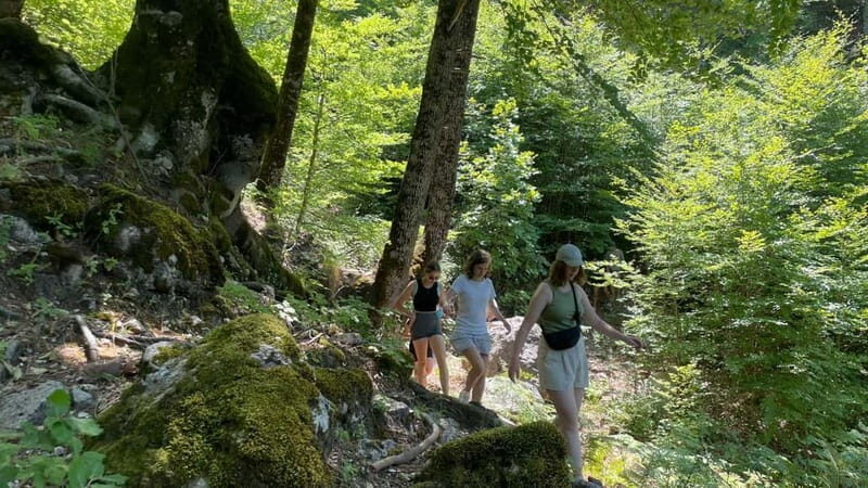 Berat: Tomorr Mountain and Lakes of Dardhë Day Trip - Berat: Tomorr Mountain and Lakes of Dardhë Day Trip