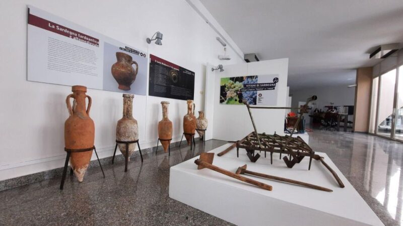 Berchidda: Visit to the Wine Museum with Wine Tasting - Exploring the Berchidda Wine Museum