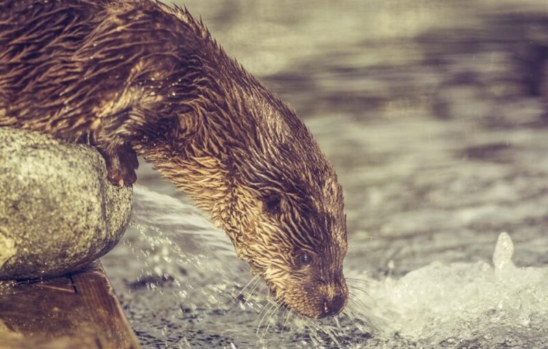 Bergen: Bergen Aquarium Entry Ticket - Bergen: Bergen Aquarium Entry Ticket