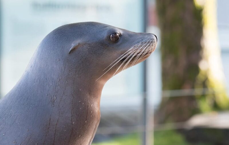 Bergen: Bergen Aquarium Entry Ticket - The Sum Up