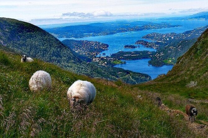Bergen Classic Private hiking - Who Will Love This Experience