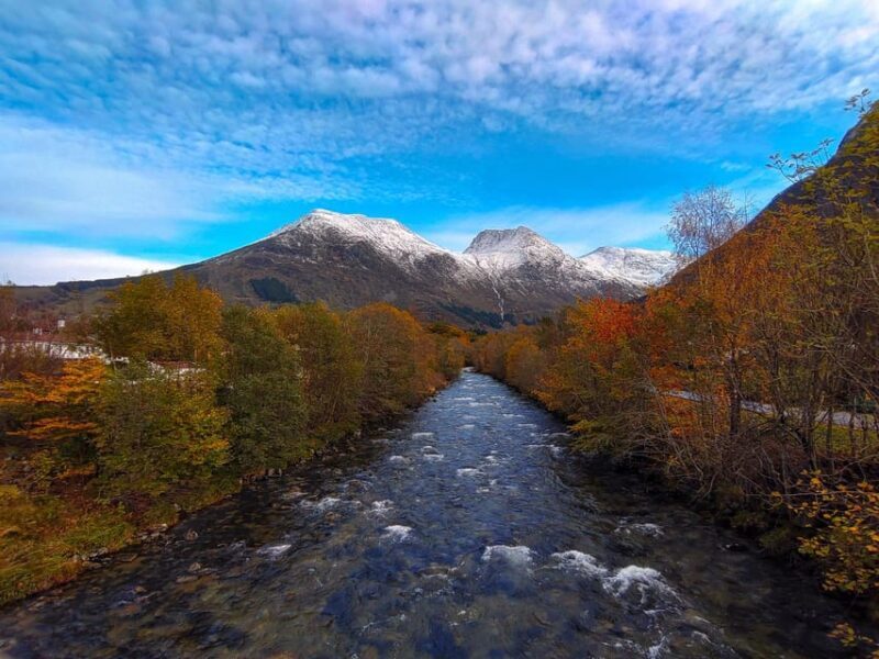 Bergen: Cruise to beautiful Rosendal by the Hardangerfjord - An In-Depth Look at the Bergen to Rosendal Experience