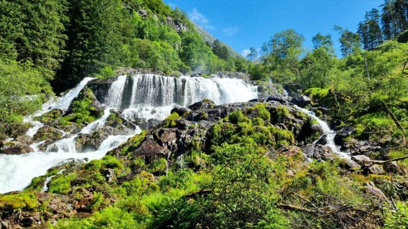 Bergen: Cruise to beautiful Rosendal by the Hardangerfjord - Who Will Love This Tour?