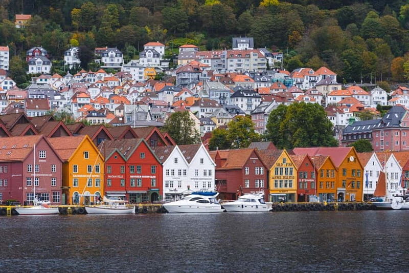 Bergen: Flam Railway, Stegastein and Fjord Cruise Day Tour - The Sum Up