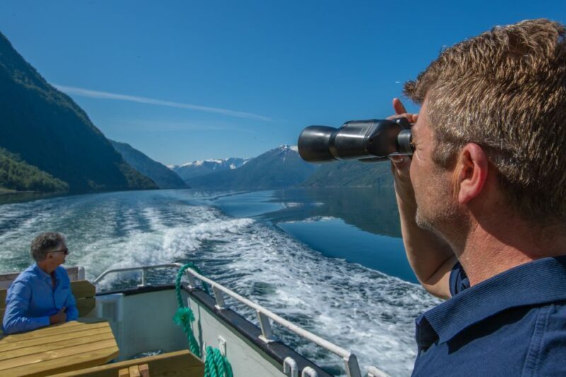 Bergen: Guided Fjord & Glacier Tour to Fjærland - Who Should Opt for This Tour?