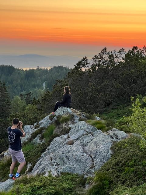 Bergen Magical Nature Tour | ViFlowExperience - Bergen Magical Nature Tour | ViFlowExperience Review