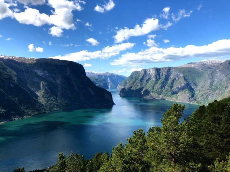 Bergen: Nærøyfjorden, Flåm, and Stegastein Guided Bus Tour - FAQs