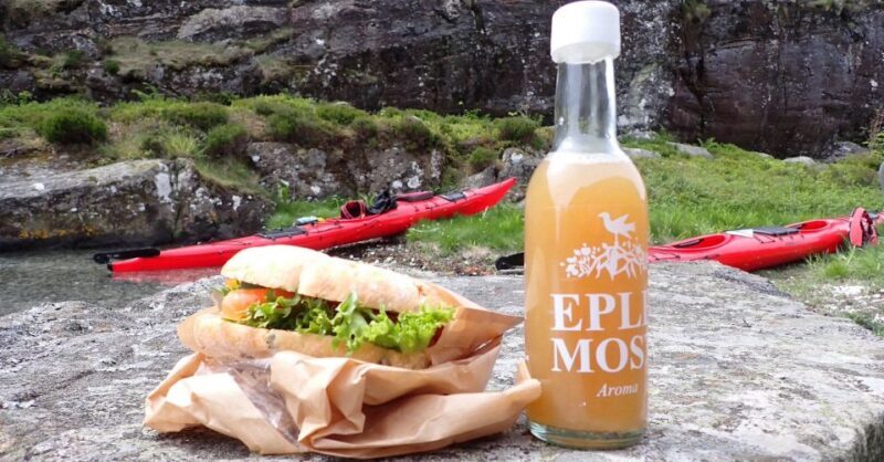 Bergen: Øygarden Islets Guided Kayaking Tour - The Practicalities: Pricing, Duration, and Group Size