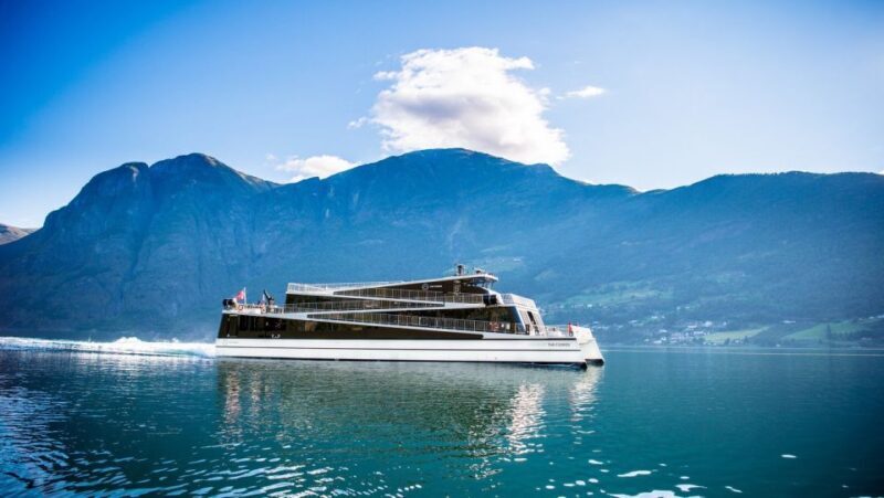 Bergen: Private Day Tour, Nærøyfjord Cruise and Flåm Railway - Additional Recommendations