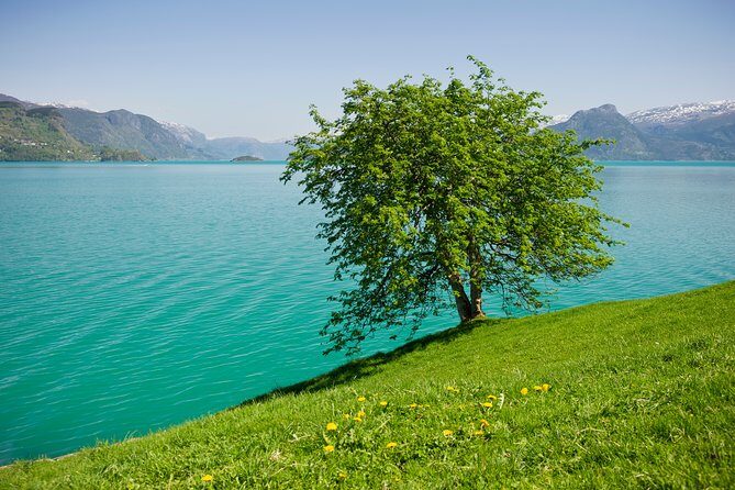 Bergen: Private Full-Day Roundtrip to Hardangerfjord with cruise - Starting in Bergen: A Comfortable Kickoff