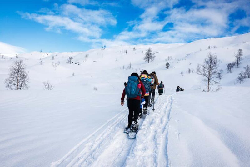 Bergen: Snowshoe Hike - The Practical Side: Logistics and Value