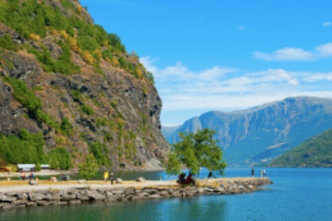 Bergen to Flam "The King of Fjords" One-Way or Round-Trip Cruise Ticket - Who Is This Tour For?