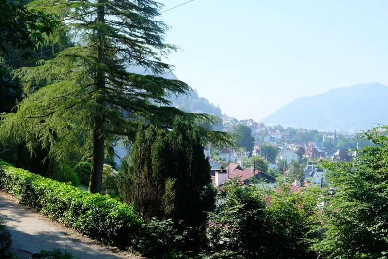 Bergen: Urban Mountain Hiking and History Tour - Final Thoughts: Who Will Love This Tour?