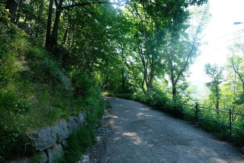 Bergen: Urban Mountain Hiking and History Tour - Frequently Asked Questions