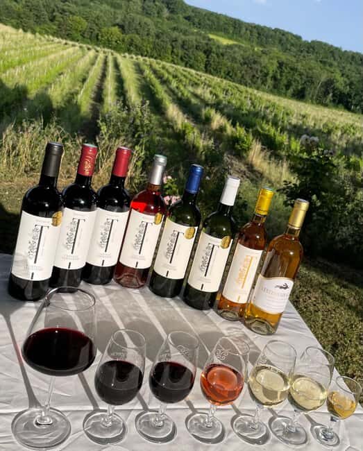 Bergerac: Wine Tasting at Chateau Lestevenie - Final Thoughts