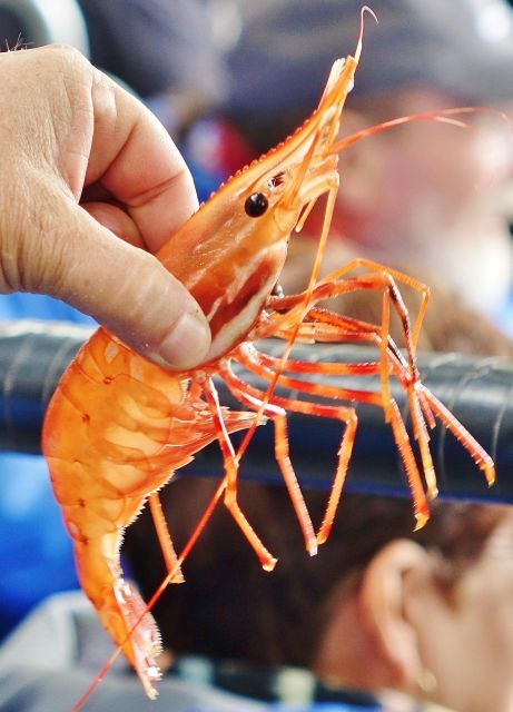 Bering Sea Crab Fishermen's Tour - The Sum Up: Why This Tour Stands Out