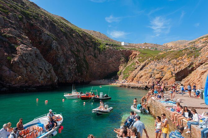 Berlenga Island Full Day Tour from Lisbon - The Starting Point and Transportation