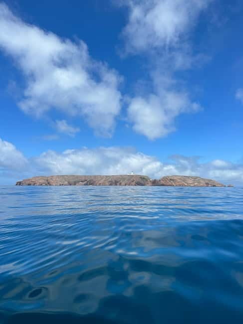 Berlenga Island: Kayak Tour and Glass-bottom Boat Trip - A Comprehensive Look at the Tour: What to Expect from Start to Finish