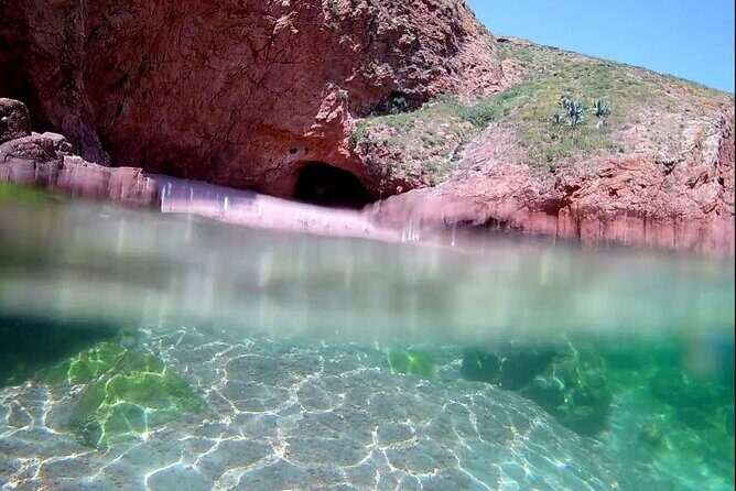 Berlengas Island Catamaran Tour + Snorkeling - Who Will Love This Tour?