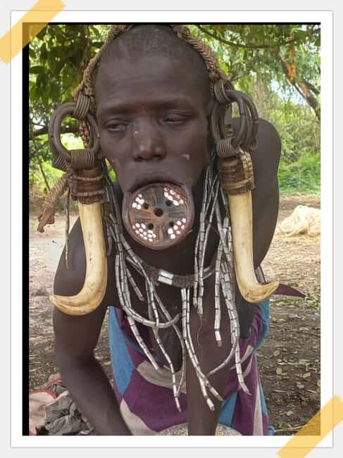 Berlin: 2-Hour Discovery Tour in a Volkswagen T2 Van - Detailed Review of the Experience