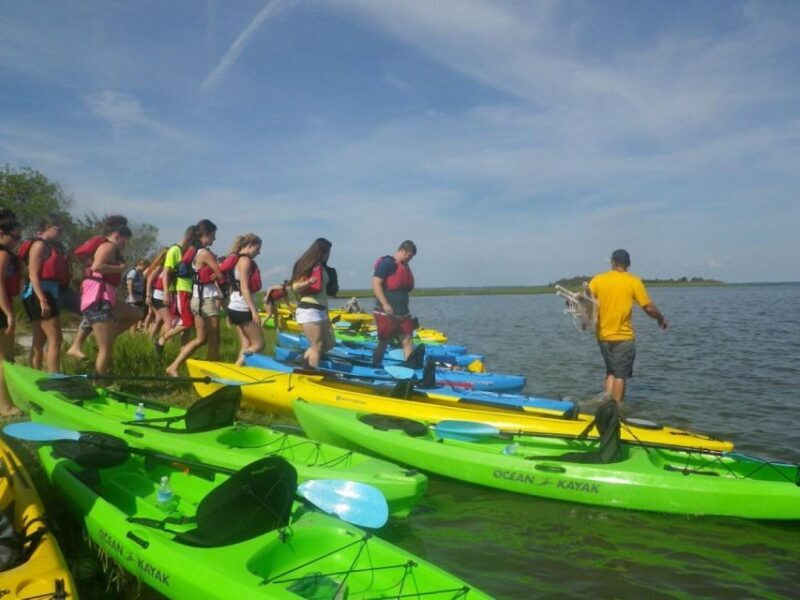 Berlin: Assateague Island Wildlife Discovery Kayak Tour - Final Thoughts: Is It Worth It?
