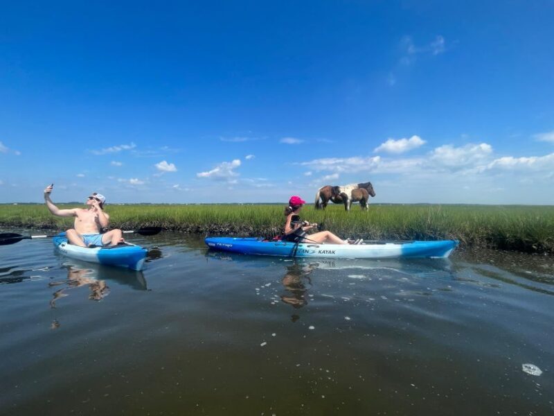 Berlin: Assateague Island Wildlife Discovery Kayak Tour - Frequently Asked Questions