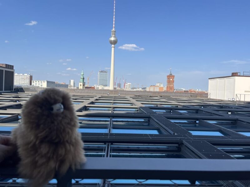 Berlin: Cold War Private Walking Tour - An In-Depth Look at the Cold War Walking Tour