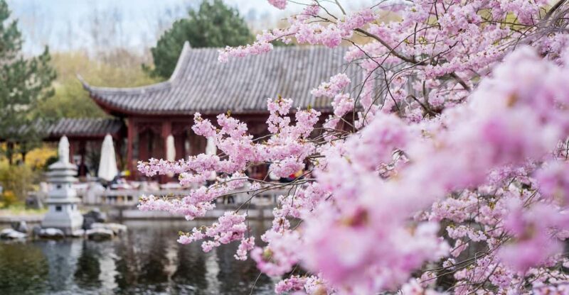 Berlin: Gärten der Welt Guided Tour - Key Points