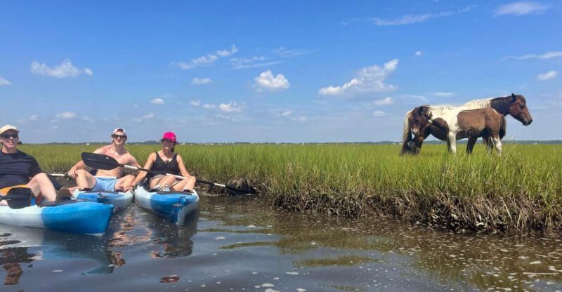 Berlin, MD: Full-, Half, or Quarter-Day Kayak Rental - A Closer Look at the Kayak Rental Experience