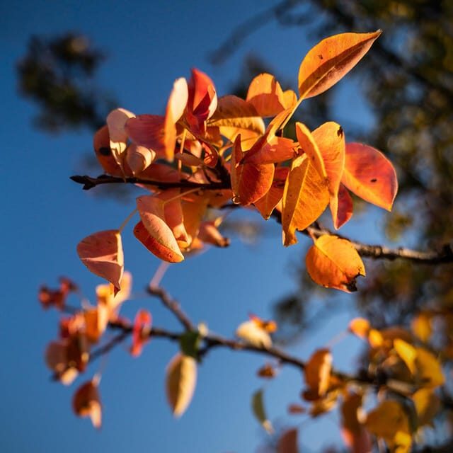 Berlin: Photo course Landschafts- & Naturfotografie - The Sum Up: Is This Photo Course Worth It?