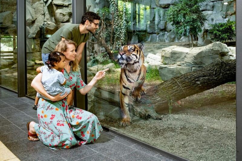 Berlin: Tickets for the Tierpark in East Berlin - Transport, Entrance, and Accessibility