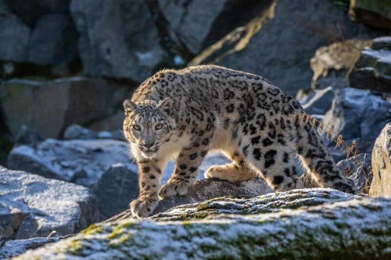 Berlin: Tickets for the Tierpark in East Berlin - Final Thoughts: Who Is This Tour Best For?