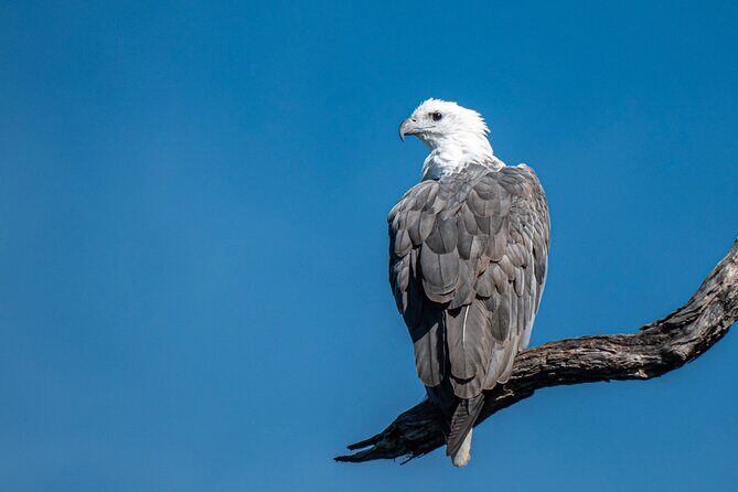 Bermagui River Kayak Tour - Key Points