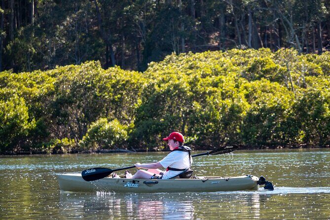 Bermagui River Kayak Tour - What to Expect on the Water