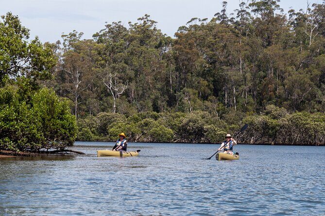 Bermagui River Kayak Tour - Why This Tour Works for Different Travelers