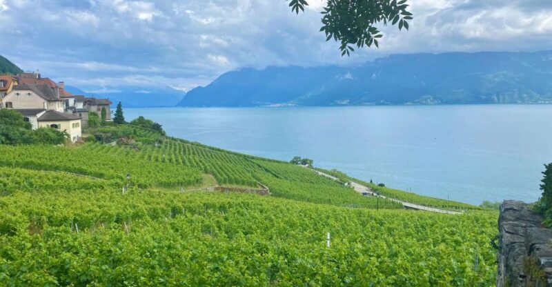 Bern: Gruyères & Lavaux Vineyard Day Trip with Cheese & Wine - An Overview of the Experience