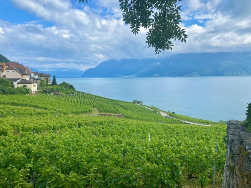 Bern: Gruyères & Lavaux Vineyard Day Trip with Cheese & Wine - Detailed Breakdown of the Itinerary