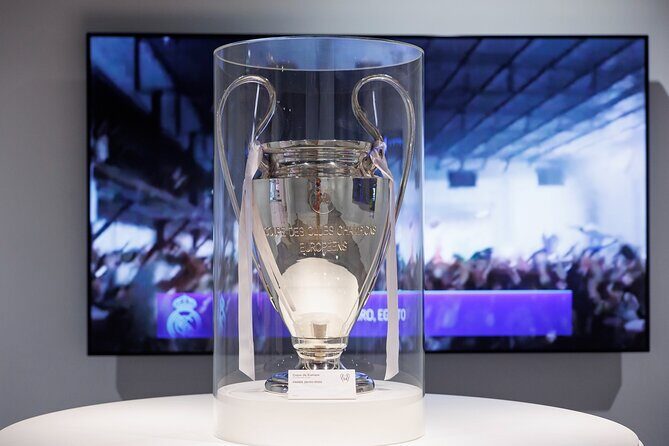 Bernabeu Stadium & Real Madrid Museum Guided Tour - The Tour Experience: What to Expect