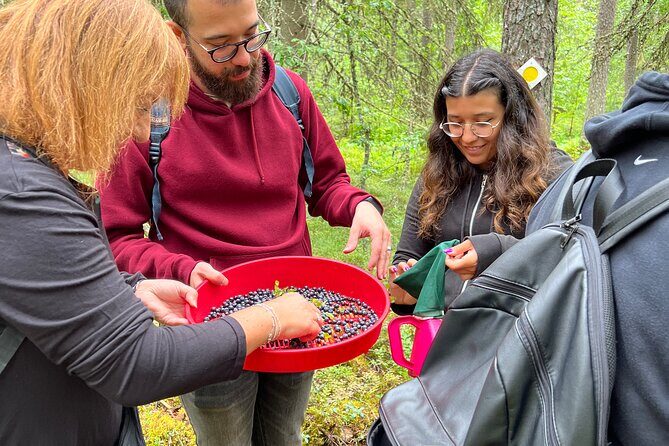 Berry Picking in a National Park - Authenticity and Reviews: What Real Travelers Say
