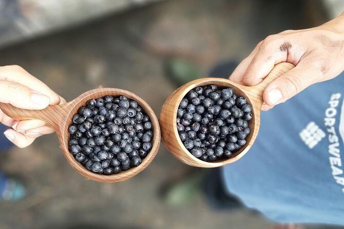 Berry Picking in a National Park - Who Is This Tour Best For?
