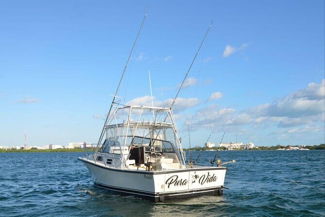 Bertram 35ft boat sport fishing cancun up to 6 passengers - Frequently Asked Questions