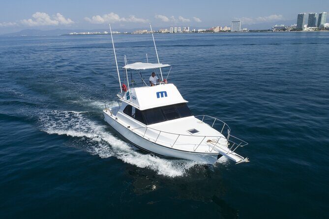 Bertram 38' Convertible Boat in Puerto & Nuevo Vallarta - Key Points