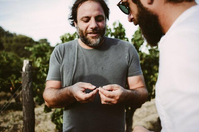Bertrand Bosc wine and food tour in Pic St Loup - Exploring the Bertrand Bosc Wine and Food Tour in Pic St Loup