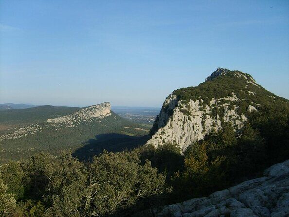 Bertrand Bosc wine and food tour in Pic St Loup - Key Points