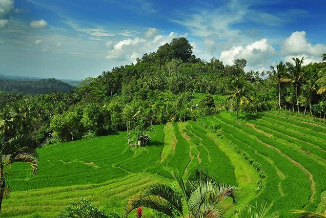 Besakih Temple Tour - Mother Temple in Bali - Lunch and Local Flavors