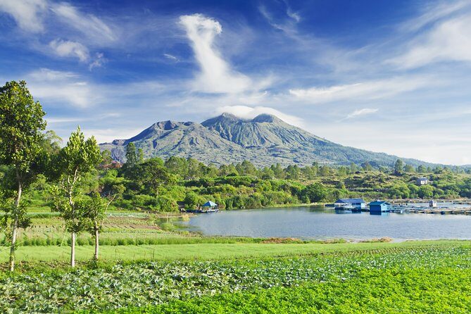 Besakih Temple Tour: the Biggest Temple in Bali - Tegalalang Rice Terraces: End with Lush Greenery